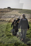 FEATURE - Die grosse Papageientaucher-Vogelzählung: Ranger des National Trust setzen auf Farne Island über