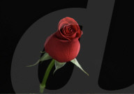 dukas 184807914 fer