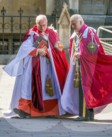 Charles and William attend attend the Order of the Bath service
