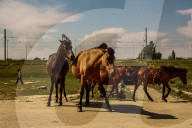 Daily Life In Kashmir 