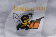 Beekeepers In Mexico Prepare For World Bee Day