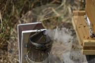 Beekeepers In Mexico Prepare For World Bee Day