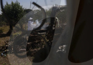 Beekeepers In Mexico Prepare For World Bee Day