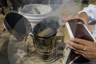 Beekeepers In Mexico Prepare For World Bee Day