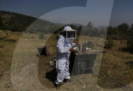Beekeepers In Mexico Prepare For World Bee Day
