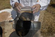 Beekeepers In Mexico Prepare For World Bee Day
