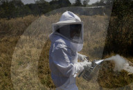 Beekeepers In Mexico Prepare For World Bee Day