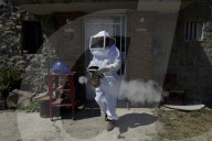 Beekeepers In Mexico Prepare For World Bee Day