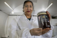 Beekeepers In Mexico Prepare For World Bee Day
