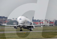 Beluga XL6 taking off from Toulouse Blagnac Airport
