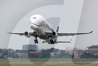 Beluga XL6 taking off from Toulouse Blagnac Airport