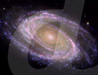 Spiral Galaxy Messier 81