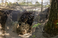 Ukrainian Servicemen Of The 127th Territorial Defence Brigade