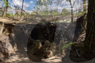 Ukrainian Servicemen Of The 127th Territorial Defence Brigade