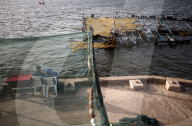 Palestinians In Gaza Go To The Beach 
