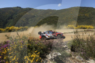 WRC Rally de Portugal