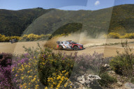 WRC Rally de Portugal