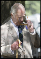 Royal Windsor Horse Show