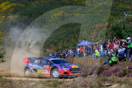 FIA World Rally Championship WRC - Vodafone Rally De Portugal 2025 