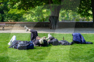 People Resting On Grass In A Park