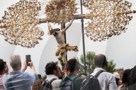 Jubilee Of The Confraternities In Rome