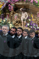 Jubilee Of The Confraternities In Rome