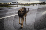 Floods In Campana, Buenos Aires Province