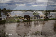 Floods In Campana, Buenos Aires Province