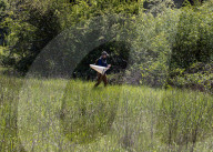 University Of California Students Collect Insects  