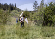 University Of California Students Collect Insects  
