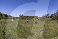 University Of California Students Collect Insects  
