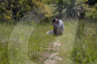 University Of California Students Collect Insects  