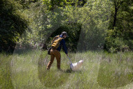 University Of California Students Collect Insects  