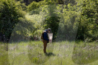 University Of California Students Collect Insects  