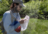 University Of California Students Collect Insects  