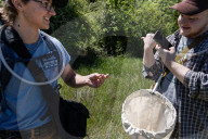 University Of California Students Collect Insects  