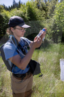 University Of California Students Collect Insects  