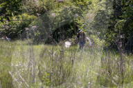 University Of California Students Collect Insects  