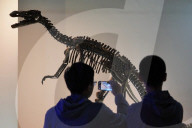 International Museum Day