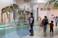 International Museum Day