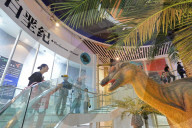 International Museum Day