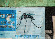 Awareness For Mosquito-borne Diseases In India -  Dengue -  Malaria