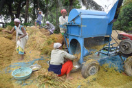 India Agriculture