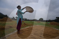 India Agriculture