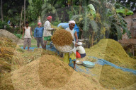 India Agriculture