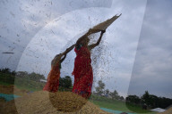 India Agriculture