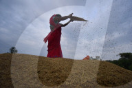 India Agriculture