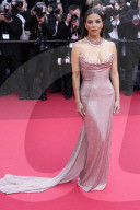 "The Phoenician Scheme" Red Carpet - The 78th Annual Cannes Film Festival