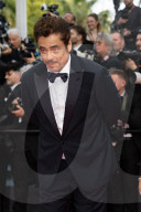 B - Montée des marches du film « The Phoenician Scheme » lors du 78ème Festival International du Film de Cannes