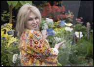 Chelsea Flower Show in London, UK.